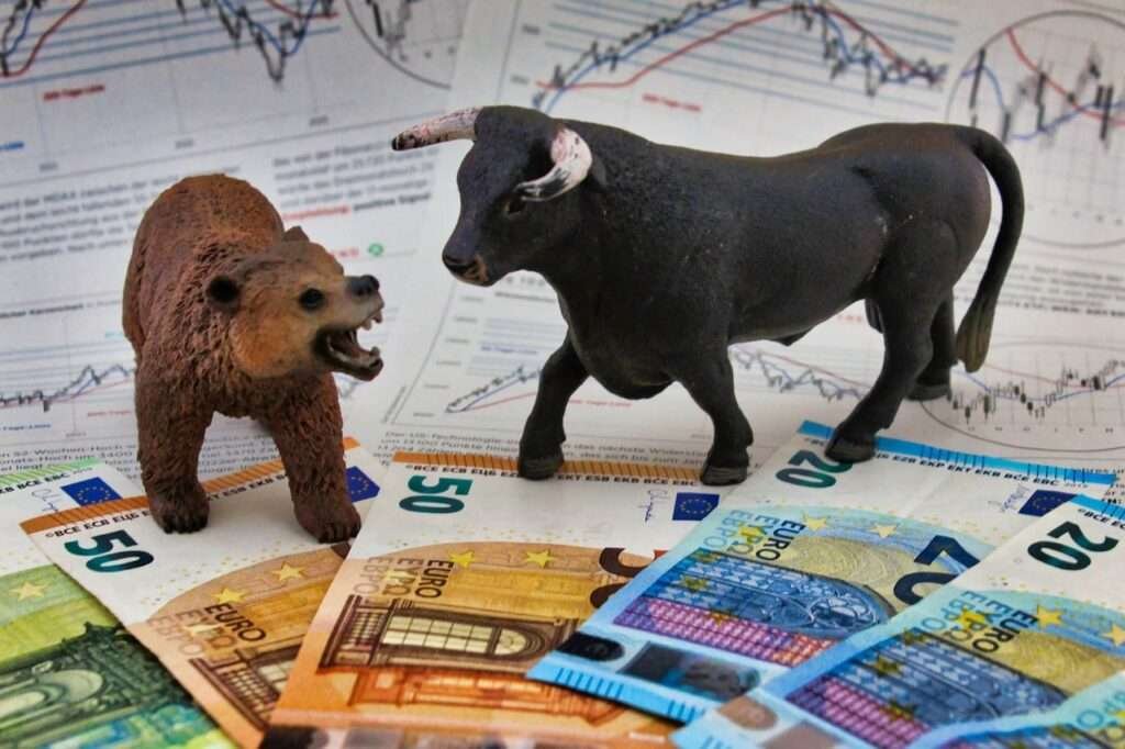 Bear & Bull Market