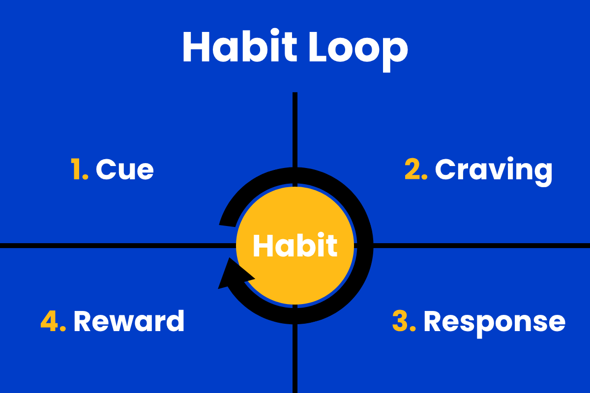 A diagram showing the habit loop from Atomic Habits: cue, craving, response, reward.